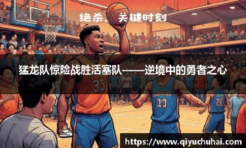 球速体育官网