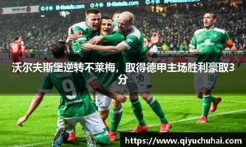 球速体育