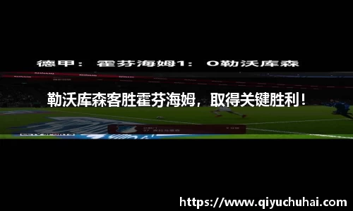 勒沃库森客胜霍芬海姆，取得关键胜利！