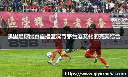 球速体育网页版登录入口