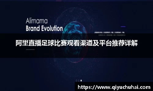 球速体育网页版登录入口