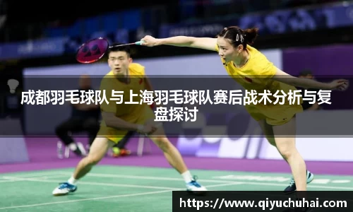球速体育网页版登录入口