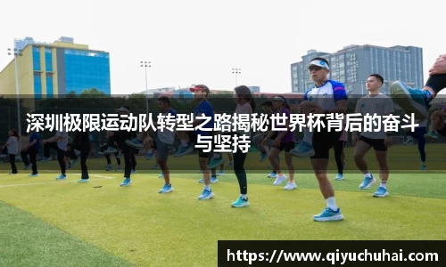 球速体育网页版登录入口