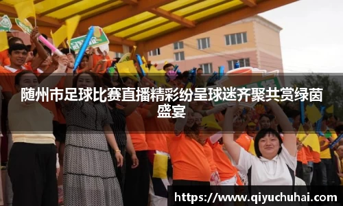 球速体育网页版登录入口