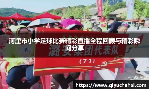 球速体育官网