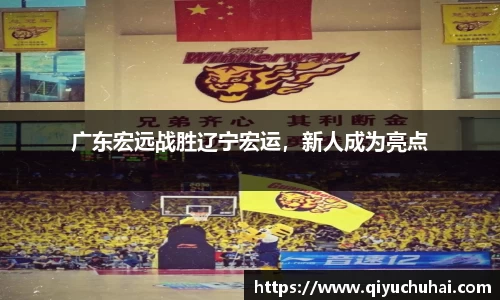 球速体育网页版登录入口